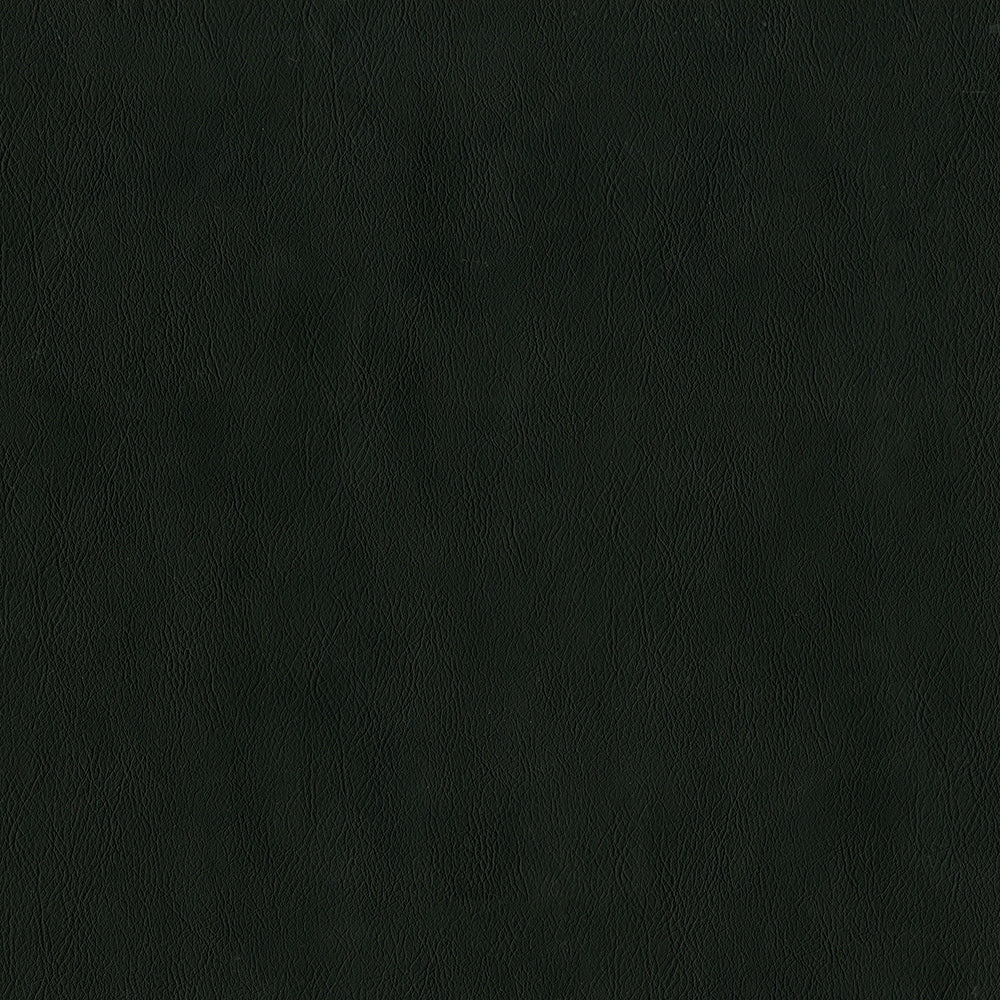 55" Intrepid Vinyl Fabric — Raven Image