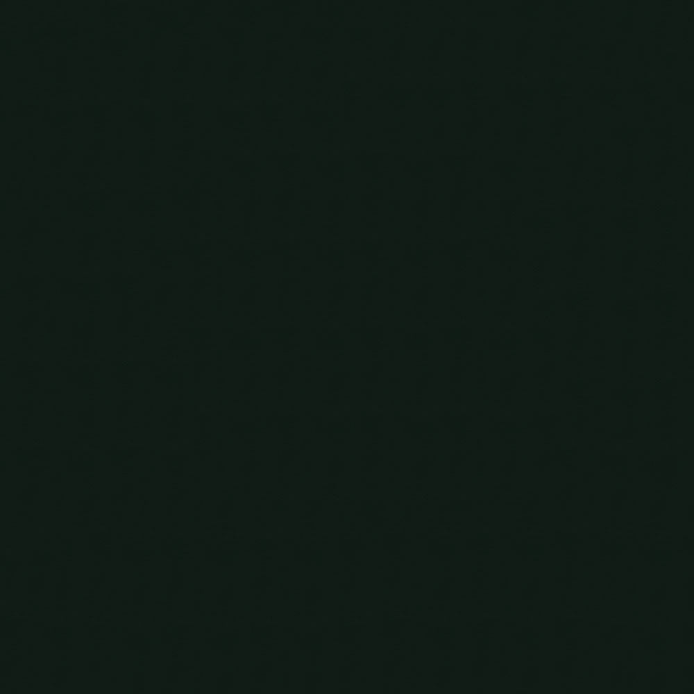 54" Autobahn Black (077) Vinyl Fabric