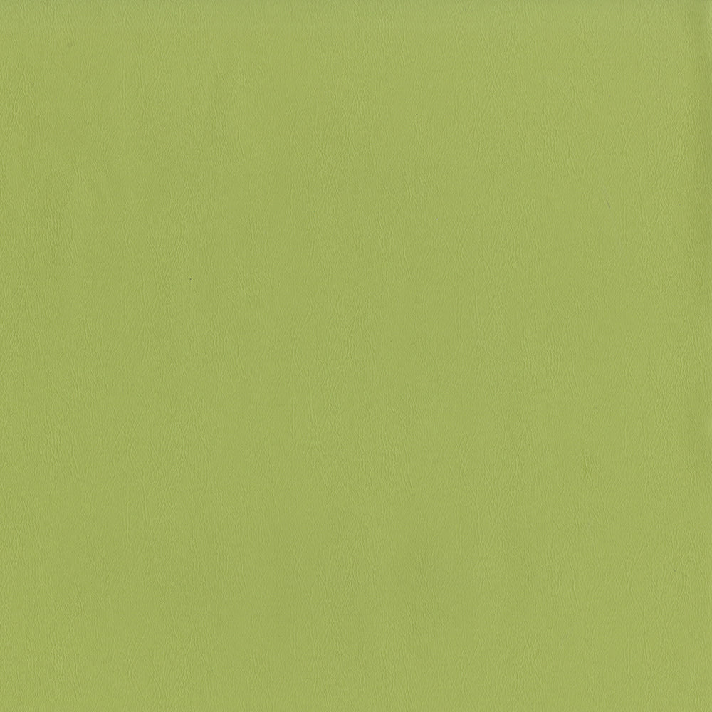 55" Intrepid Vinyl Fabric — Meadow Image