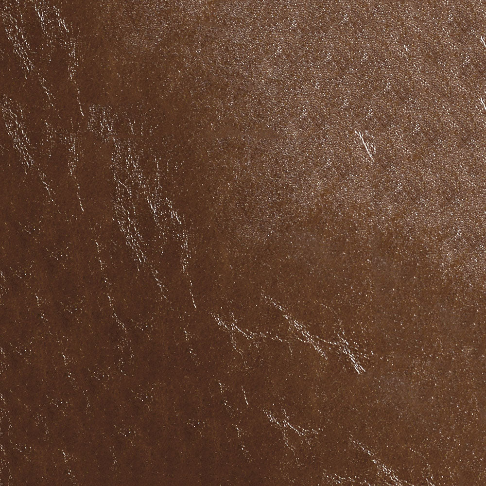 54" Nassimi Glaze Honey (006) Vinyl Fabric
