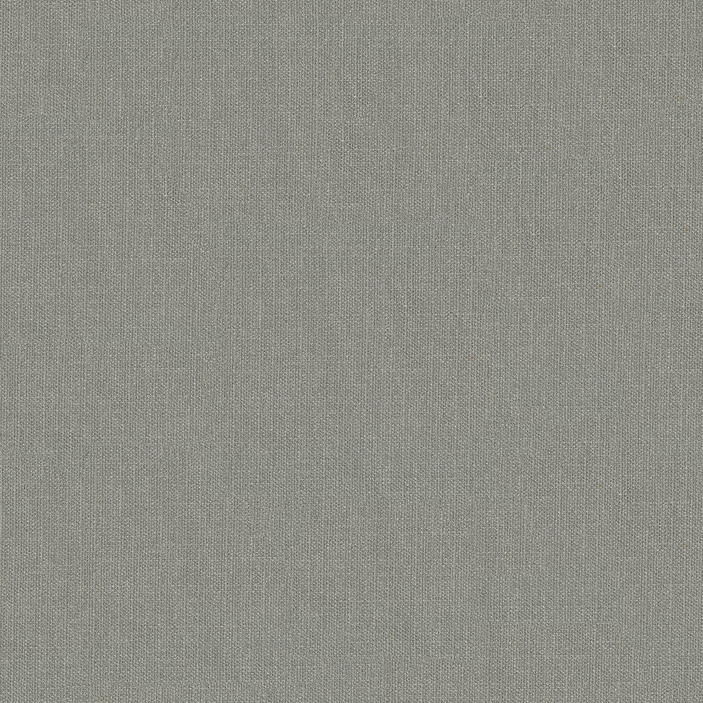 57" Pappy Platinum (94) Upholstery Fabric