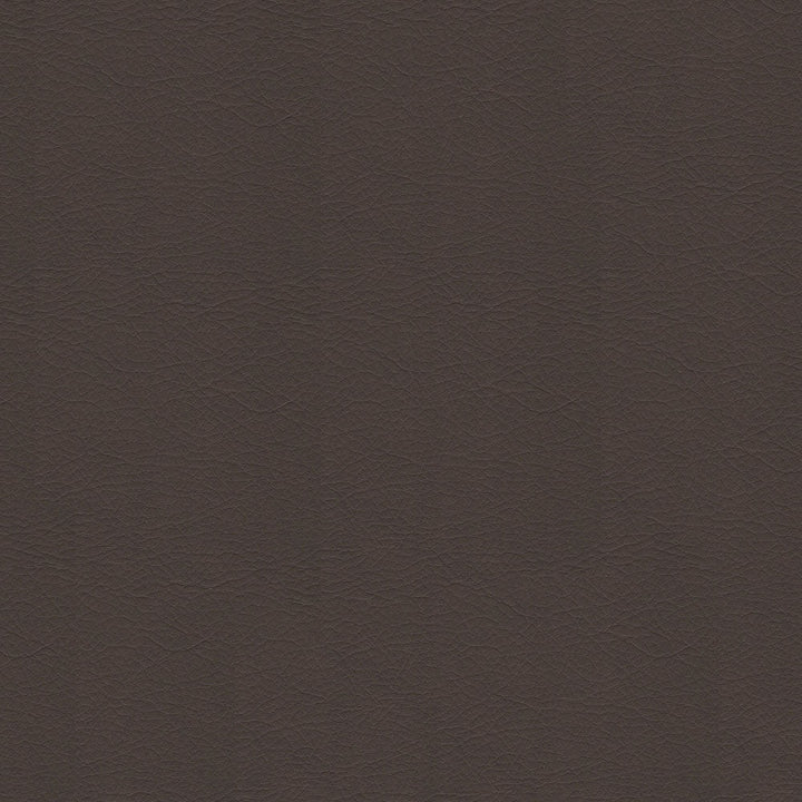 54" Spradling® Whisper Truffle (2153) Vinyl Fabric