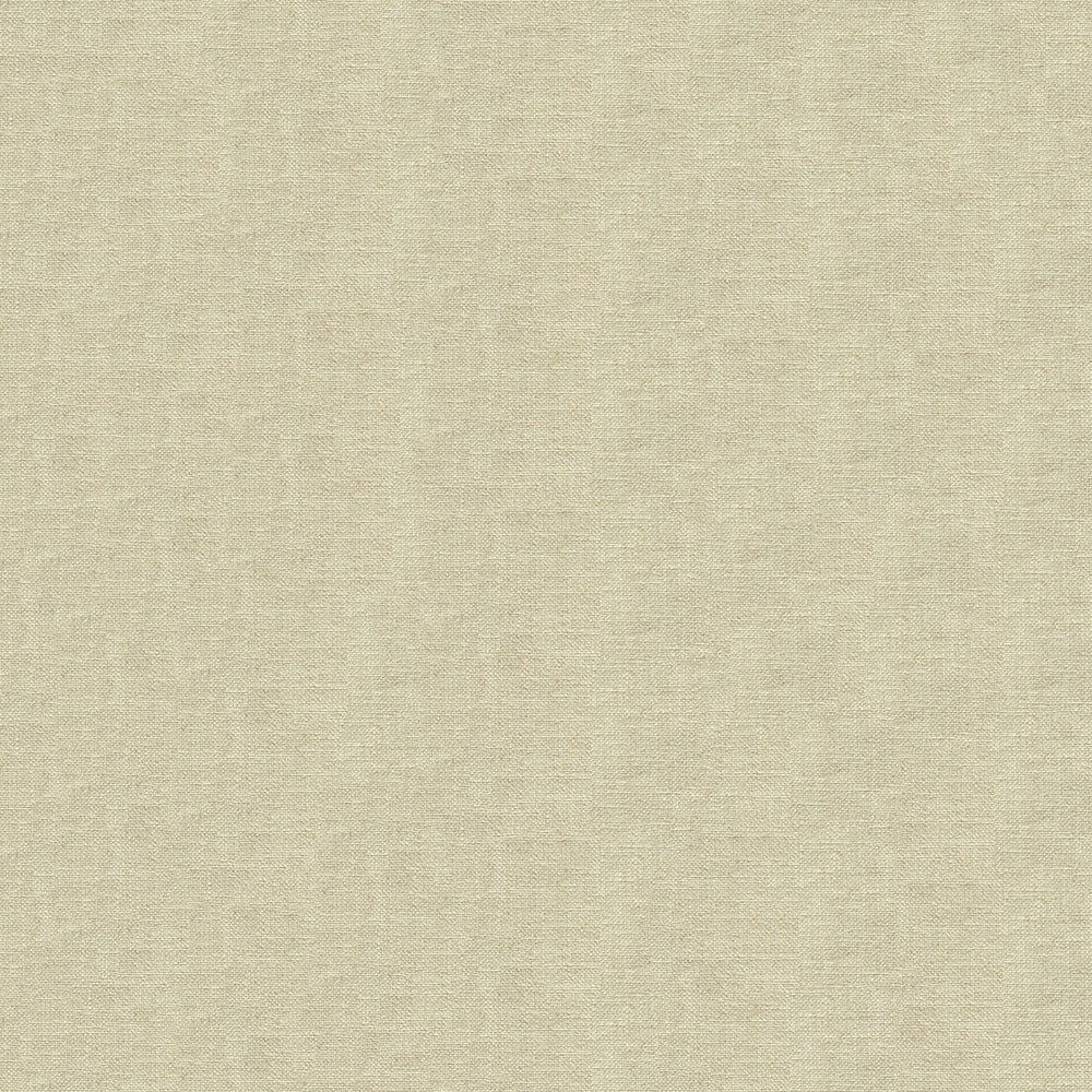 55" Earth Beige (6003) Upholstery Fabric
