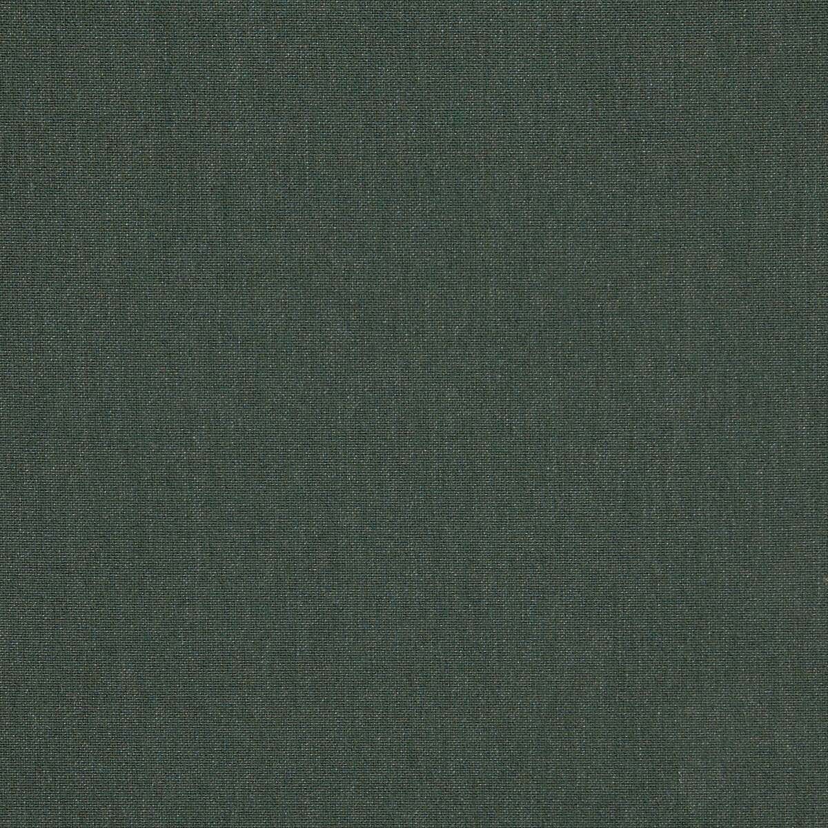 54" Sunbrella® Cast Ivy (48141-0000) Upholstery Fabric