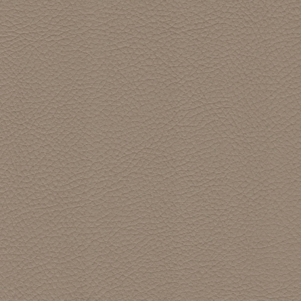 54" Morbern™ Extraordinaire Cream (105) Vinyl Fabric