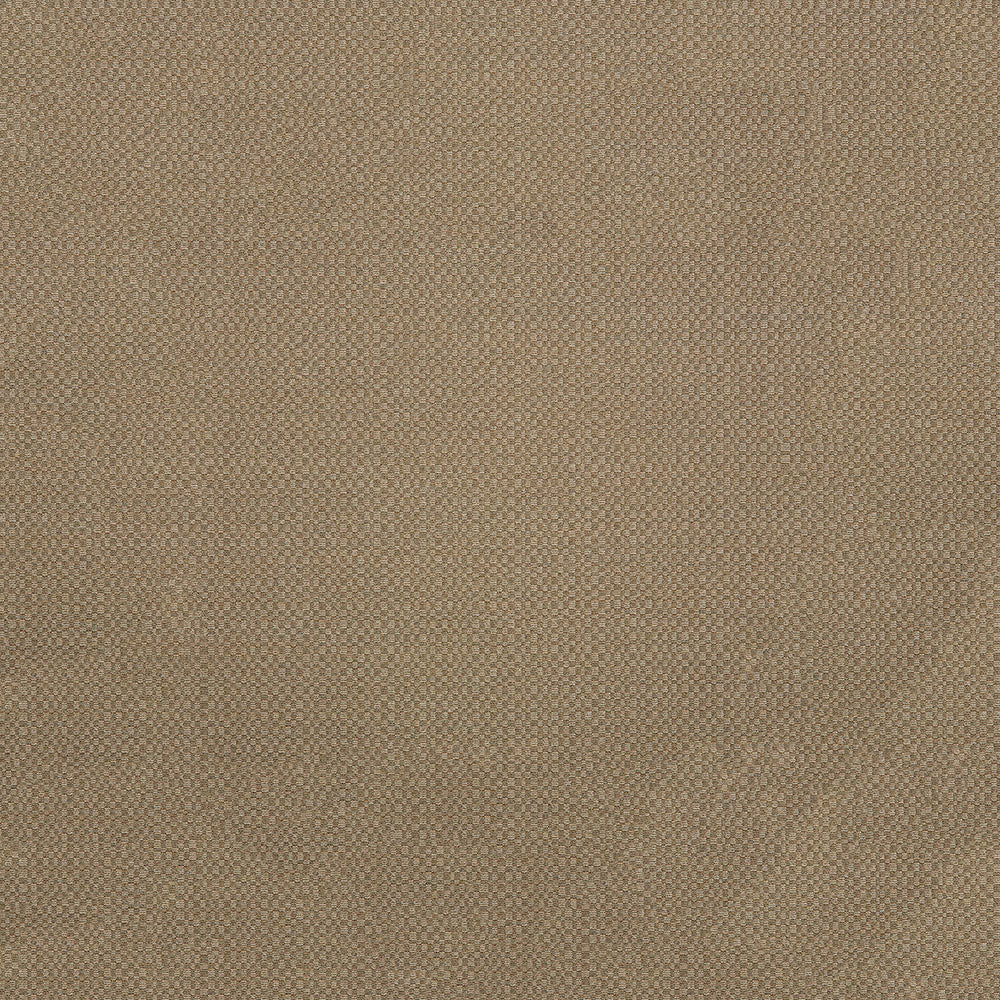 54" Sunbrella® Action Taupe (44285-0003) Upholstery Fabric