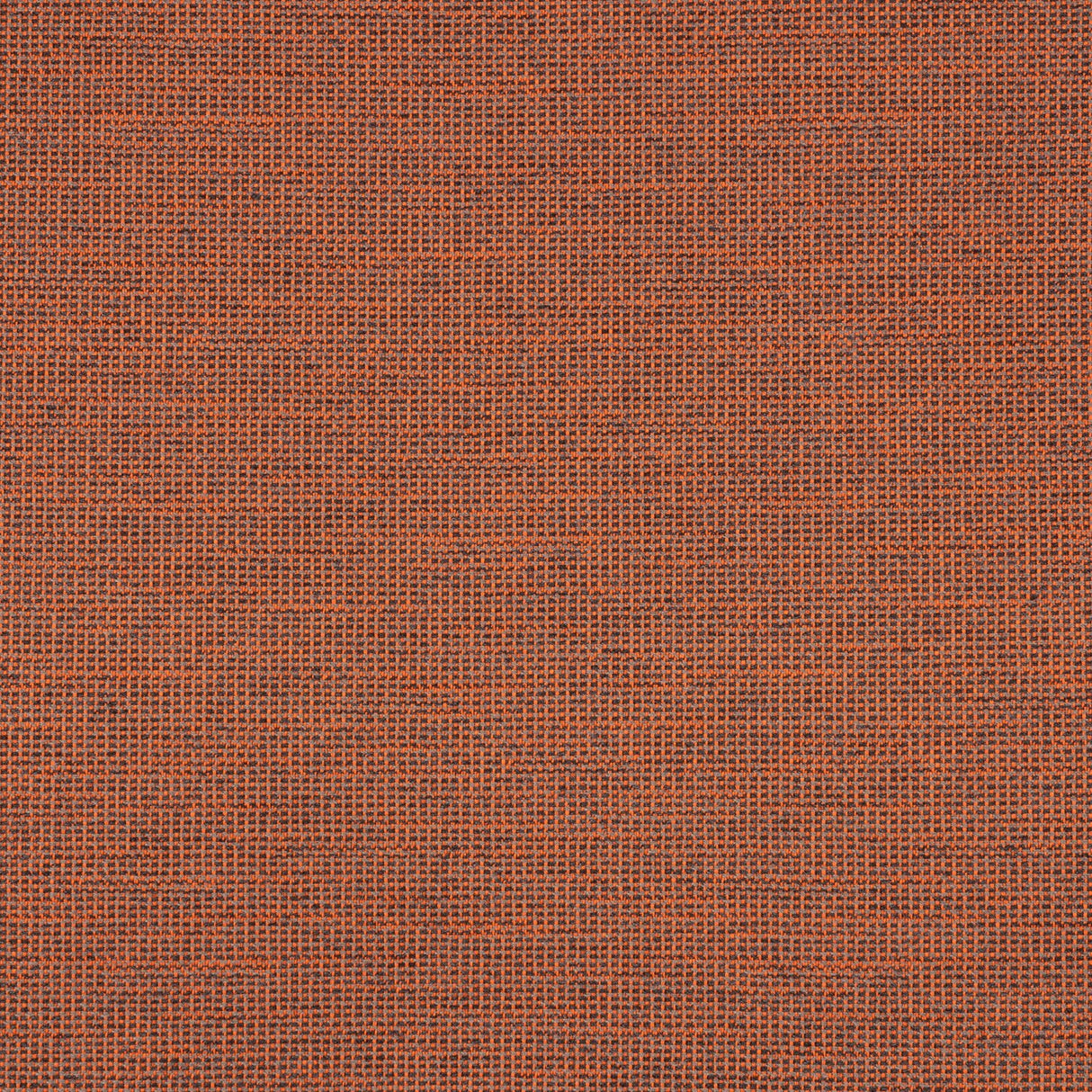 54" Sunbrella® Rally Amber (87005-0010) Upholstery Fabric