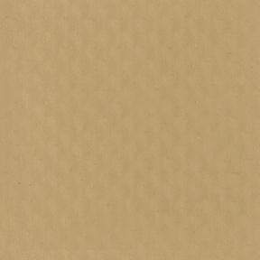 81" Atwood Beige (068) 18 oz Tarpaulin Fabric