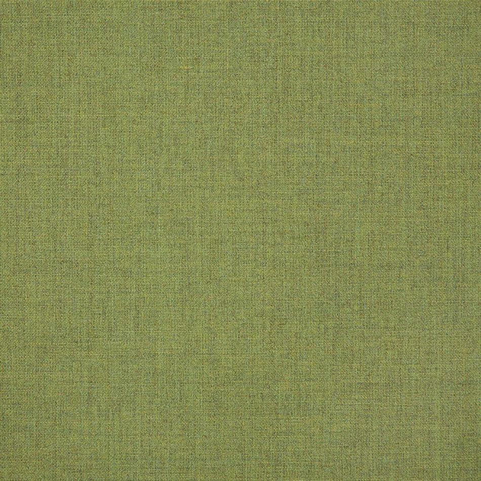 54" Sunbrella® Cast Moss (48109-0000) Upholstery Fabric