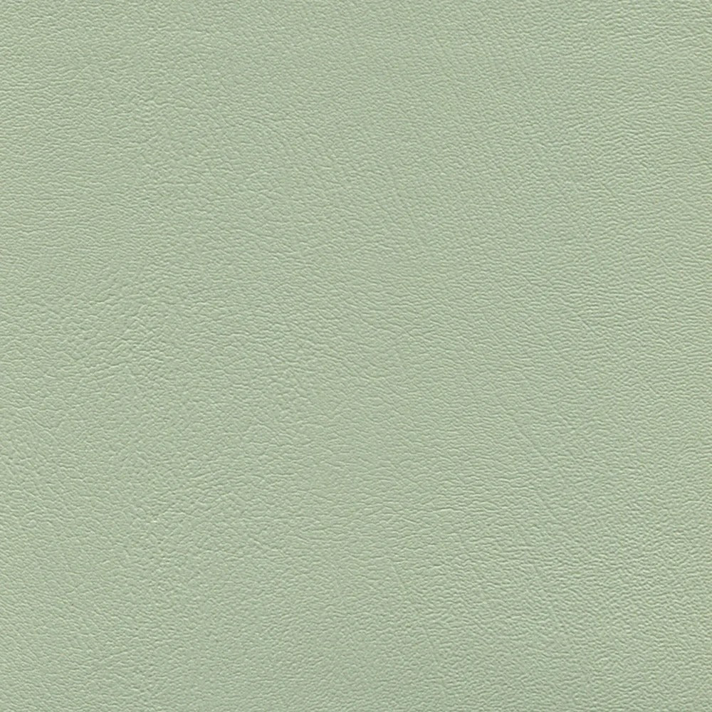 54" Enduratex™ Prizm Apple (036) Vinyl Fabric