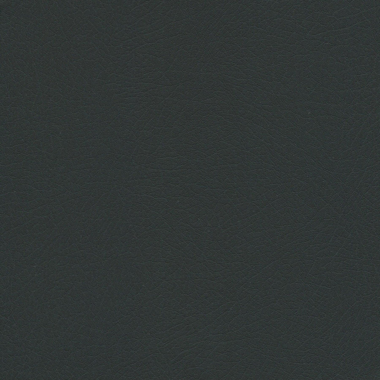 54" Enduratex™ Vaquero Night Rider (1036) Vinyl Fabric