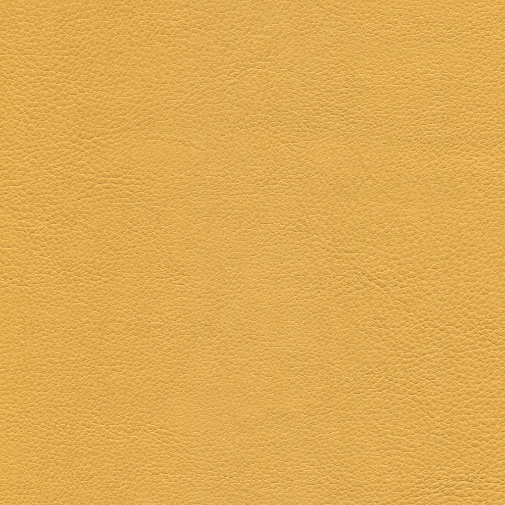 54" Enduratex™ Aspirations Flan (ASP600-NFR) Vinyl Fabric