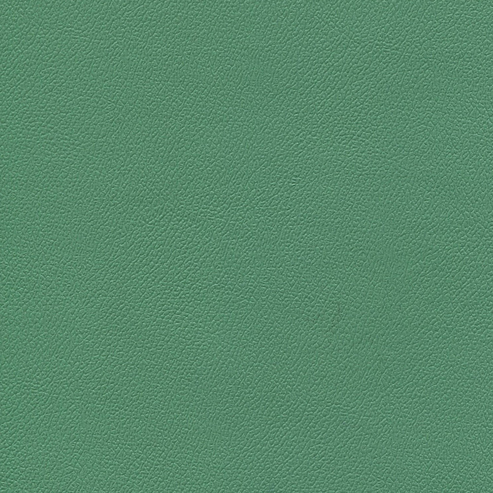 54" Enduratex™ Independence Amuse-Mint (8750) Vinyl Fabric