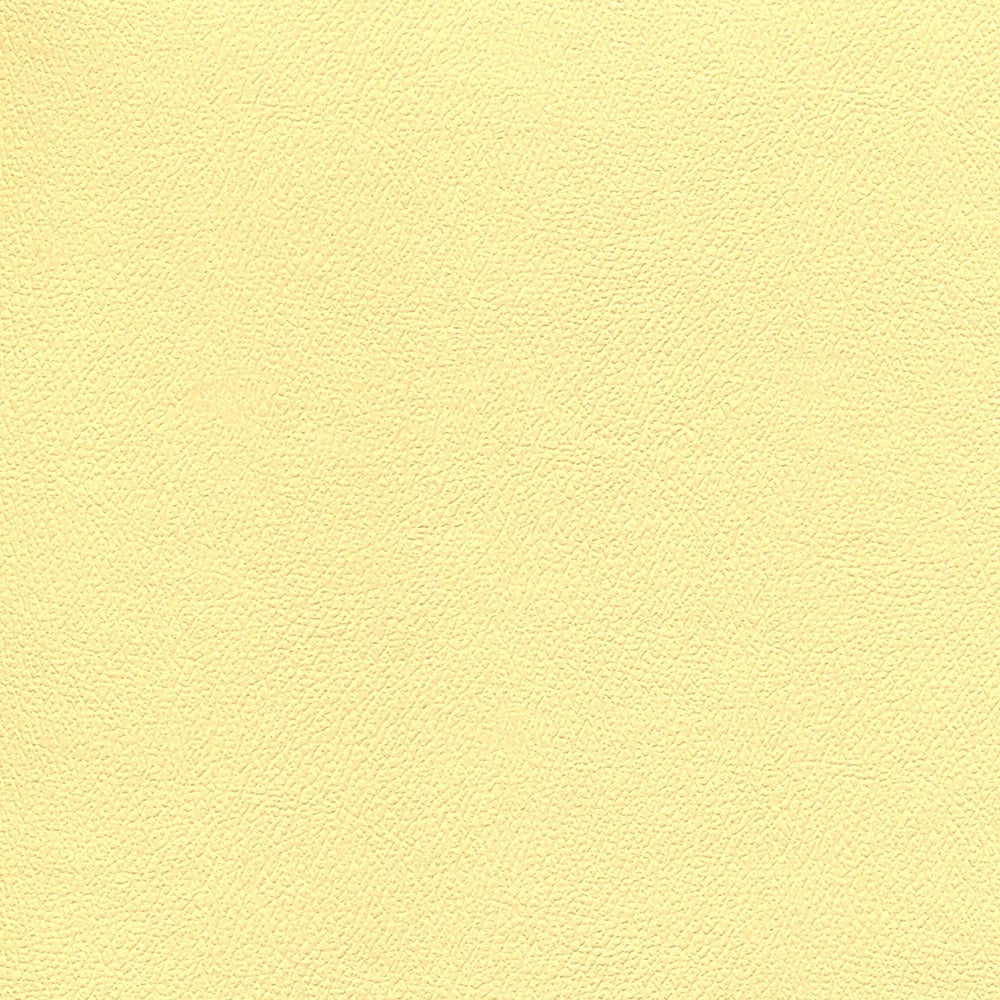 54" Enduratex™ Independence Sunny Disposition (8776) Vinyl Fabric