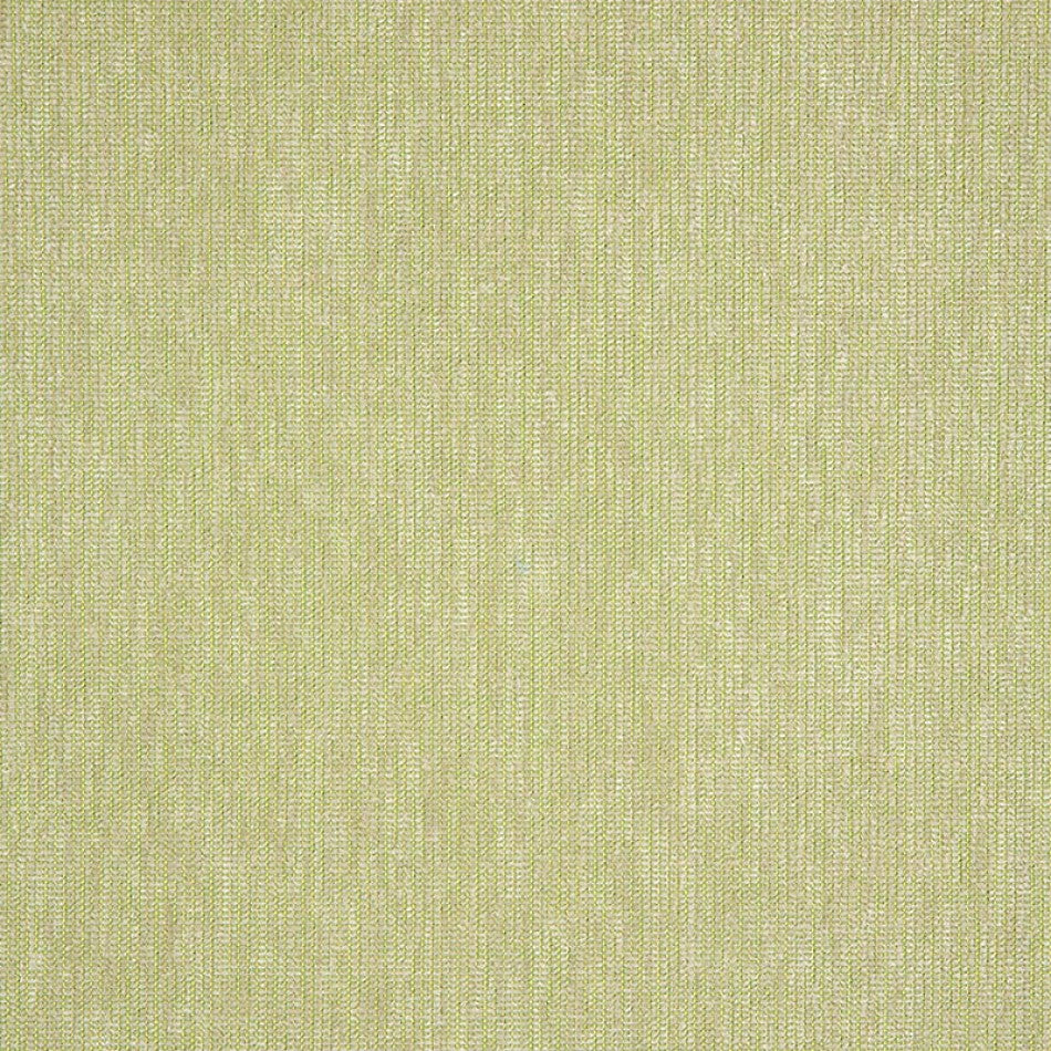 54" Sunbrella® Platform Aloe (42091-0015) Upholstery Fabric