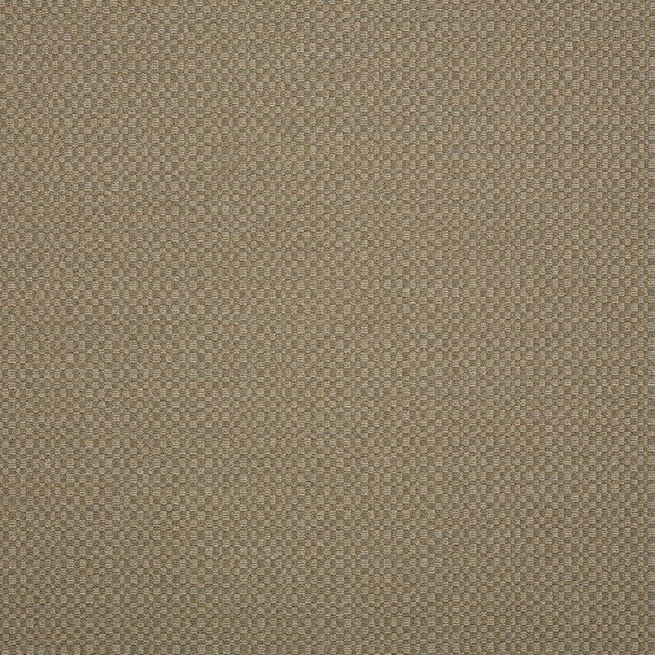 54" Sunbrella® Action Taupe (44285-0003) Upholstery Fabric