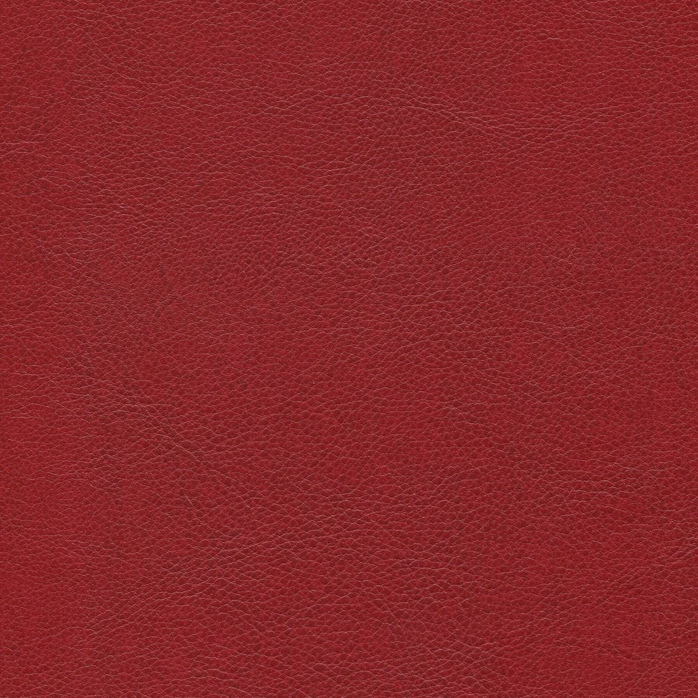 54" Enduratex™ Aspirations Sanguine (ASP1800-NFR) Vinyl Fabric