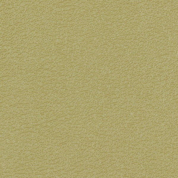 54" Morbern™ Vitality Park (211) Vinyl Fabric