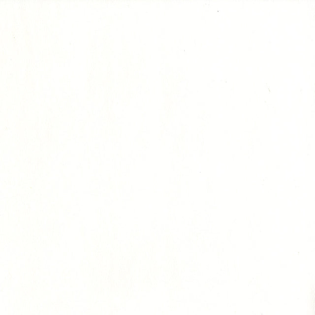  55" Intrepid Vinyl Fabric — Mystic White Image
