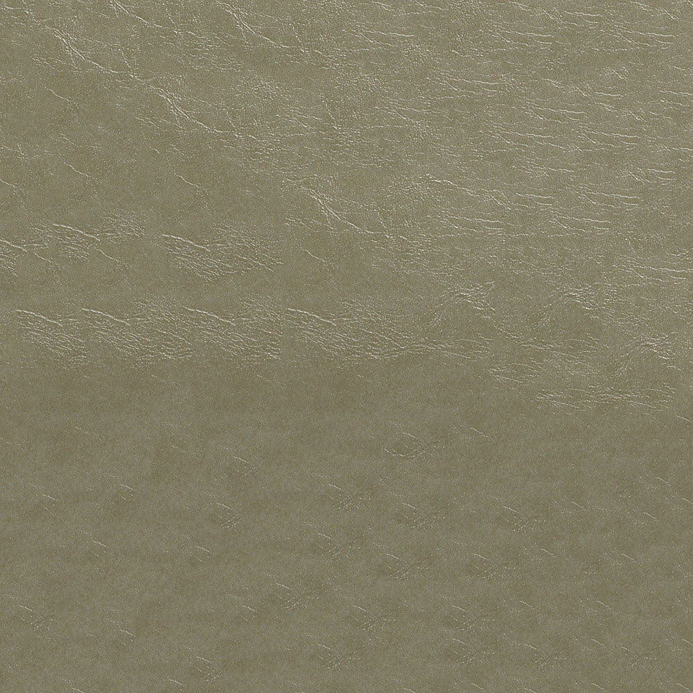 54" Nassimi Glaze Pumice (107) Vinyl Fabric