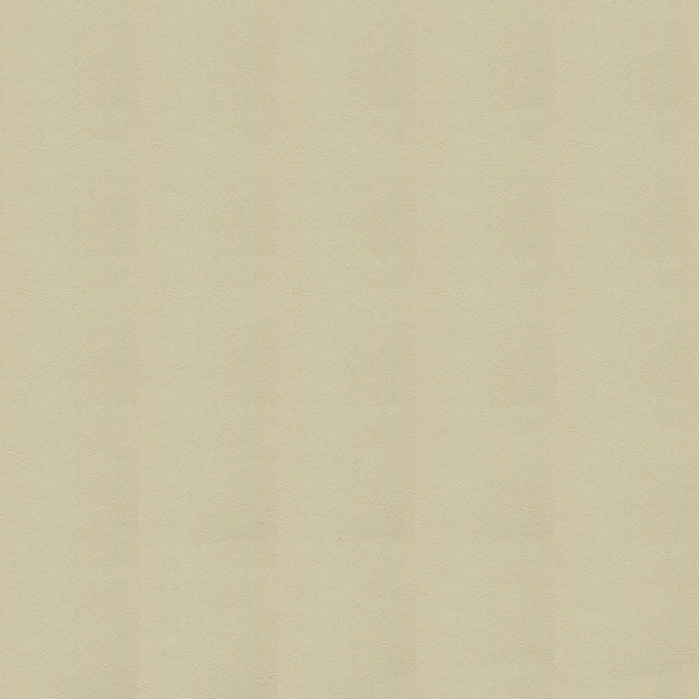 54" Enduratex™ Armada Vinyl Fabric — Biscay Ivory Image