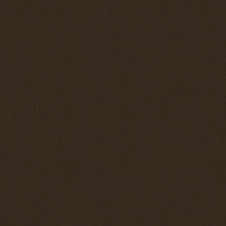 55" Intrepid Vinyl Fabric — Chestnut Image
