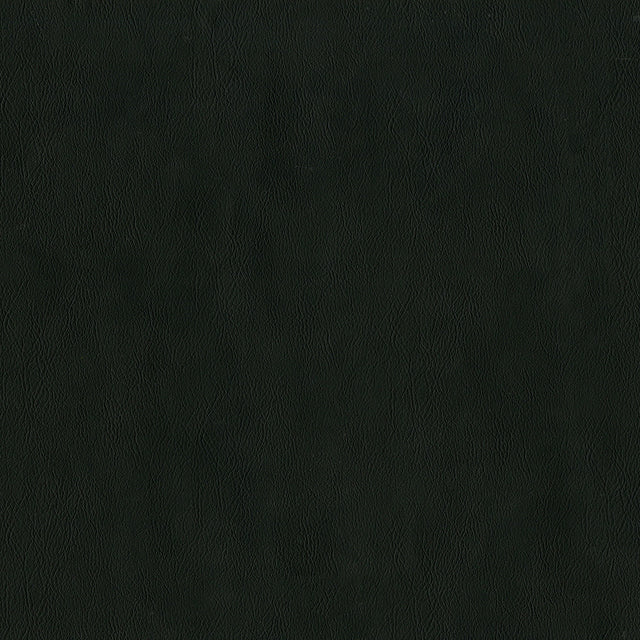 55" Intrepid Vinyl Fabric — Raven Image
