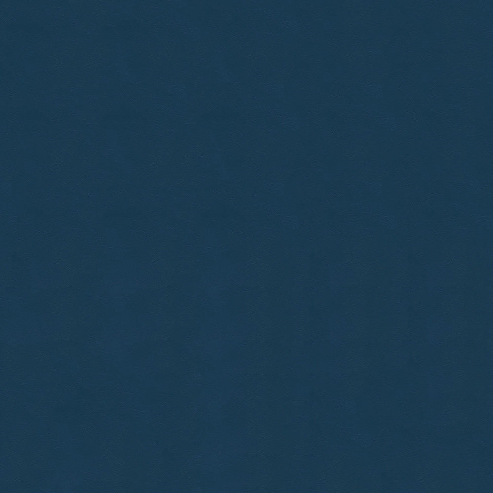 54" Enduratex™ Armada Vinyl Fabric — Ensign Image