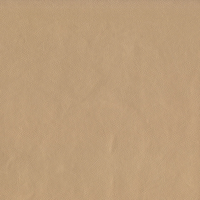 55" Intrepid Vinyl Fabric — Champagne Image