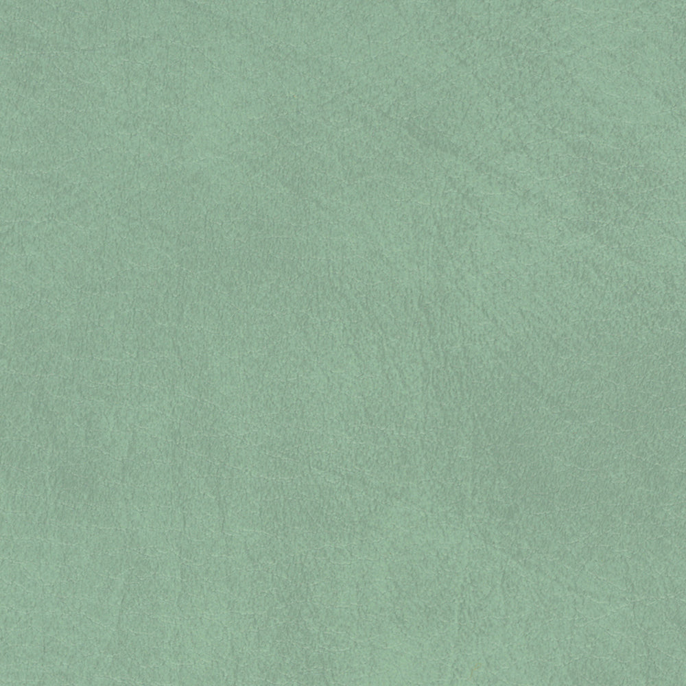 54" Spradling® Allegro Vinyl Fabric — Sage Green Image