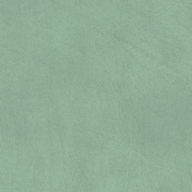 54" Spradling® Allegro Vinyl Fabric — Sage Green Image