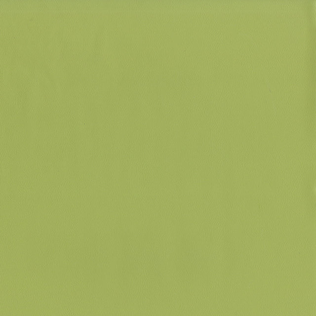 55" Intrepid Vinyl Fabric — Meadow Image