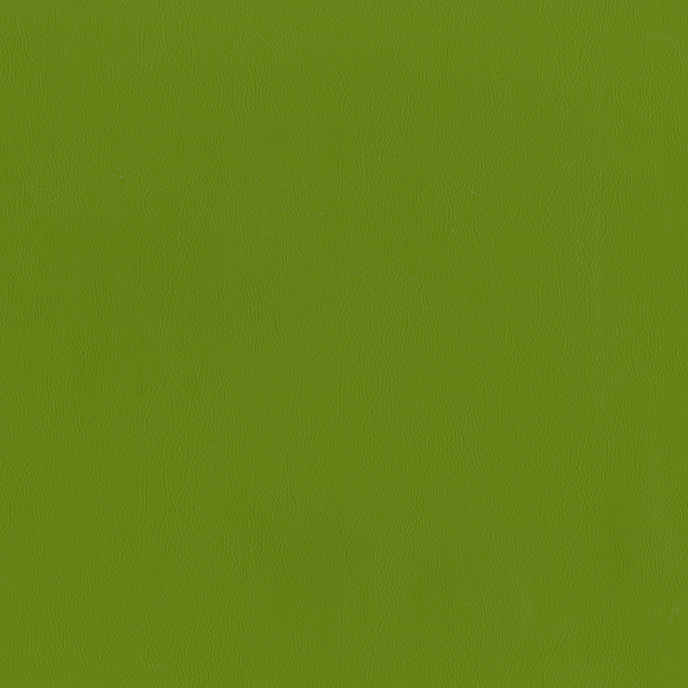 55" Intrepid Vinyl Fabric — Spring Image