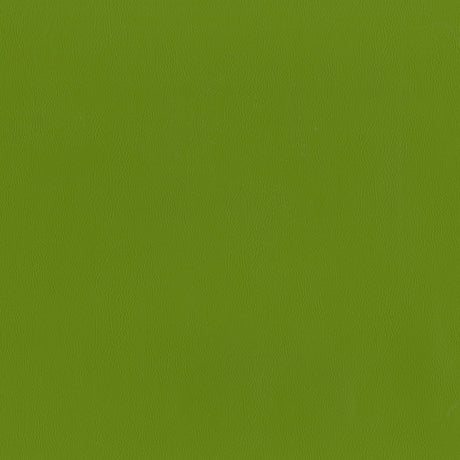 55" Intrepid Vinyl Fabric — Spring Image