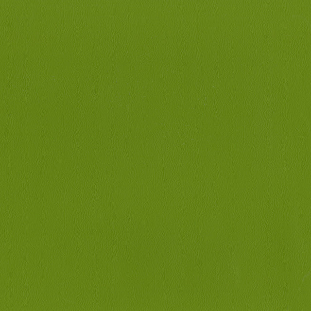 55" Intrepid Vinyl Fabric — Spring Image