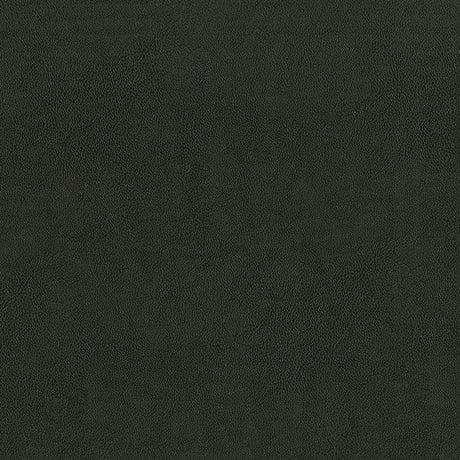 55" Intrepid Vinyl Fabric — Charcoal Image
