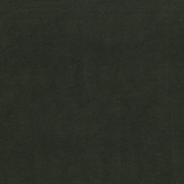 55" Intrepid Vinyl Fabric — Charcoal Image