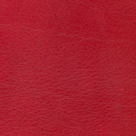 54" Spradling® Allegro Vinyl Fabric — Garnet Image