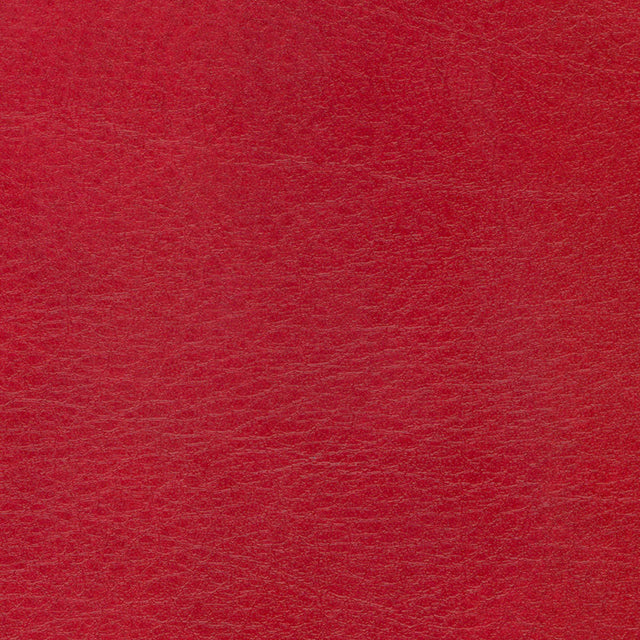 54" Spradling® Allegro Vinyl Fabric — Garnet Image