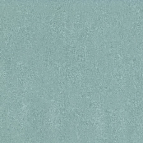55" Intrepid Vinyl Fabric — Spa Image