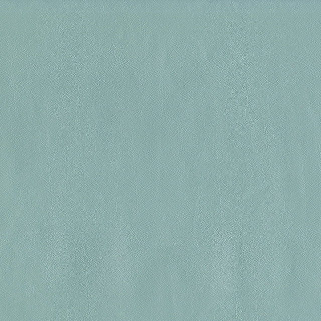 55" Intrepid Vinyl Fabric — Spa Image