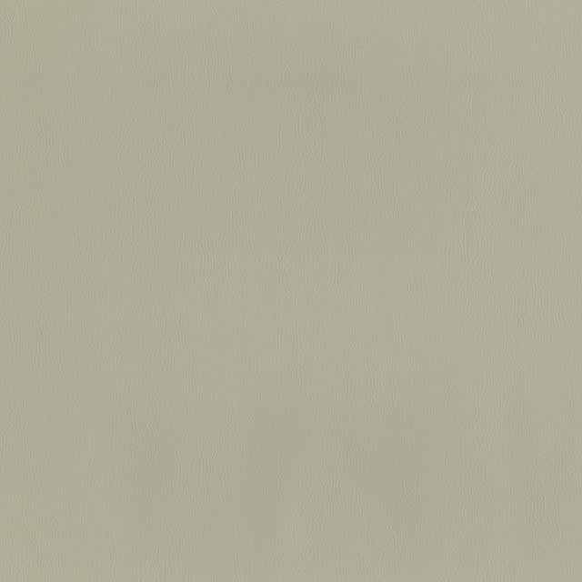 55" Intrepid Vinyl Fabric — Fog Image