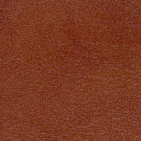 54" Spradling® Allegro Vinyl Fabric — Old Whiskey Image