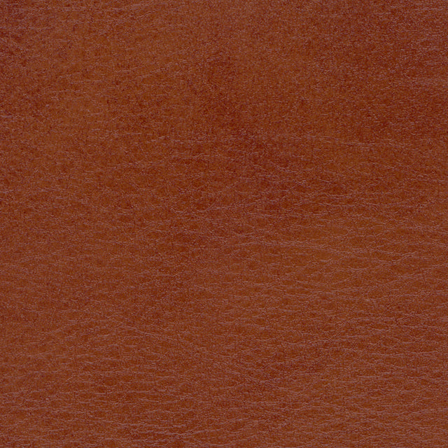 54" Spradling® Allegro Vinyl Fabric — Old Whiskey Image
