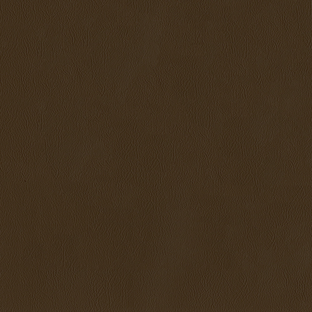 55" Intrepid Vinyl Fabric — Earth Image