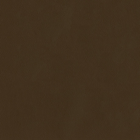 55" Intrepid Vinyl Fabric — Earth Image