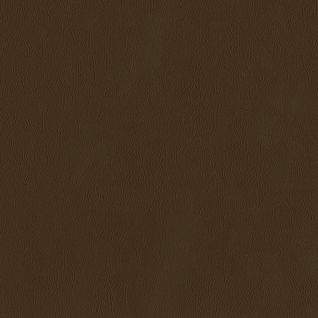 55" Intrepid Vinyl Fabric — Earth Image