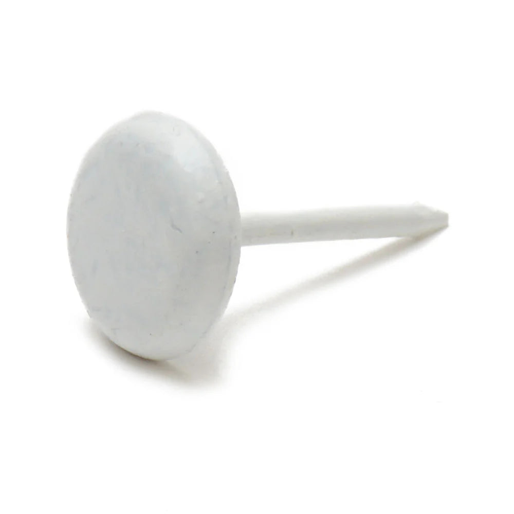 7/16" Low Dome White Upholstery Nail