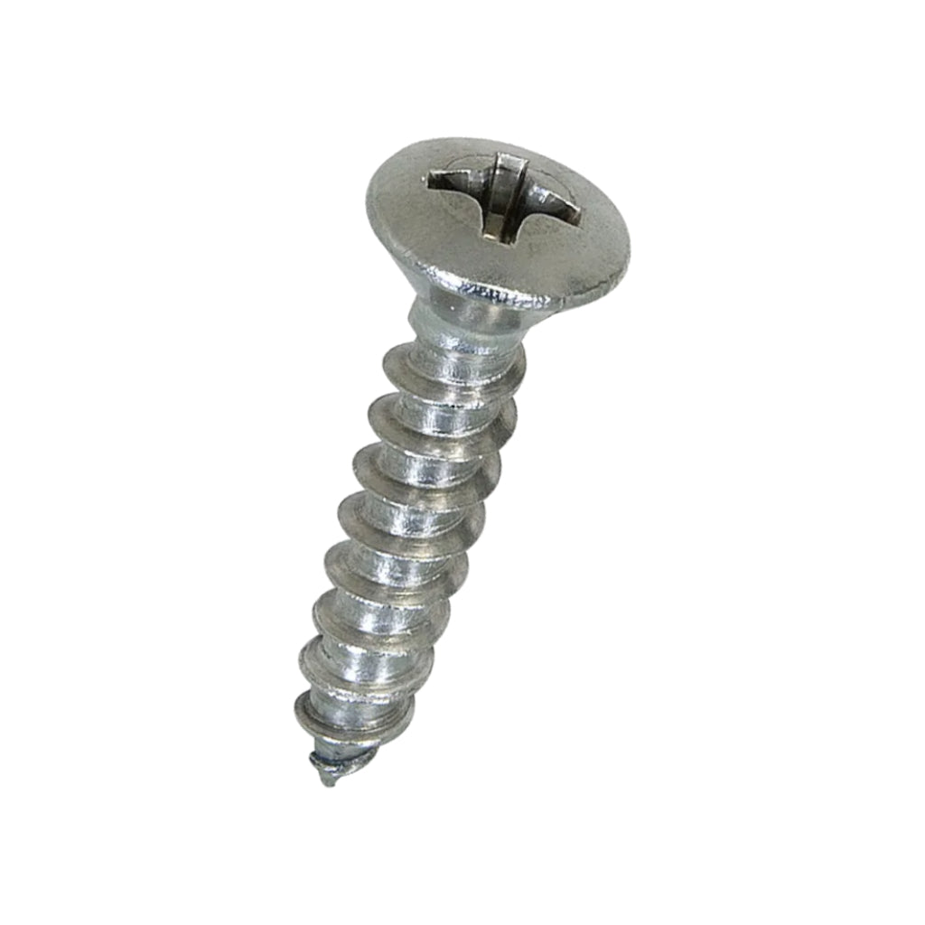#8 Stainless Steel Phillips Oval Head Screw
