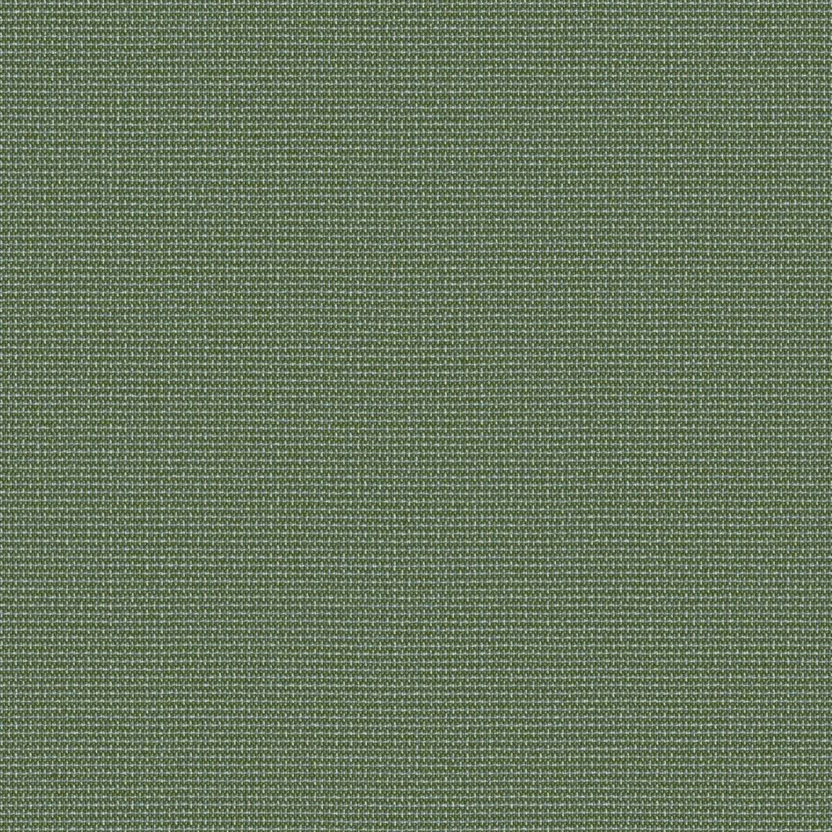 54" Sunbrella® Bliss Aloe (48135-0017) Upholstery Fabric